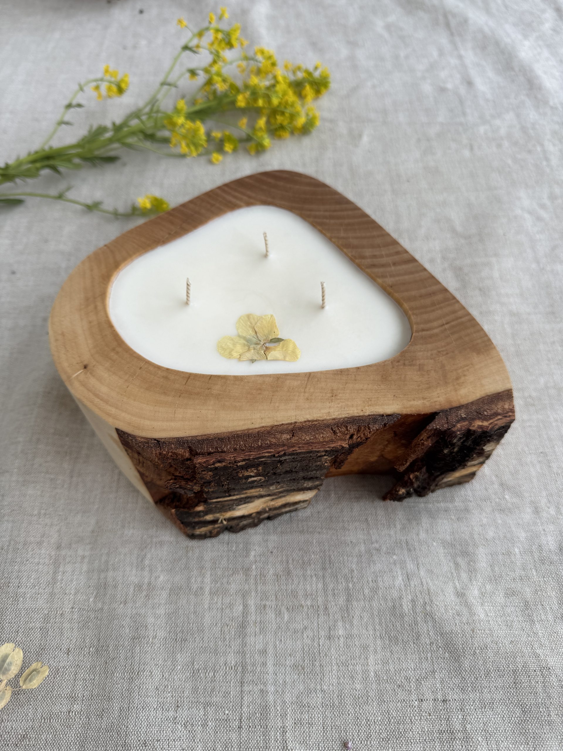 Birch Meadow Melon Candle