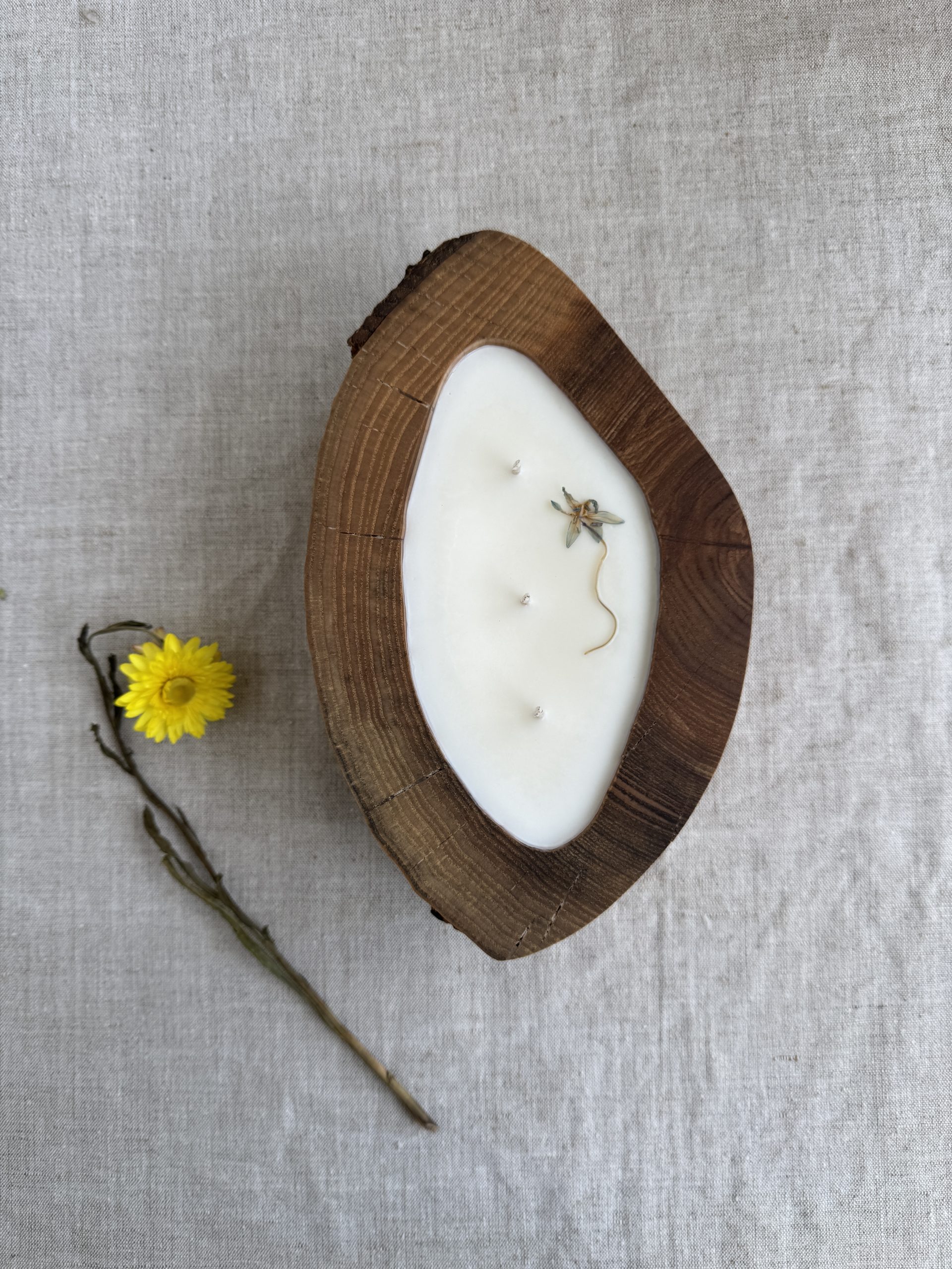 Handmade ash wood soy candle with Siena Elegance fragrance and dried flower decoration