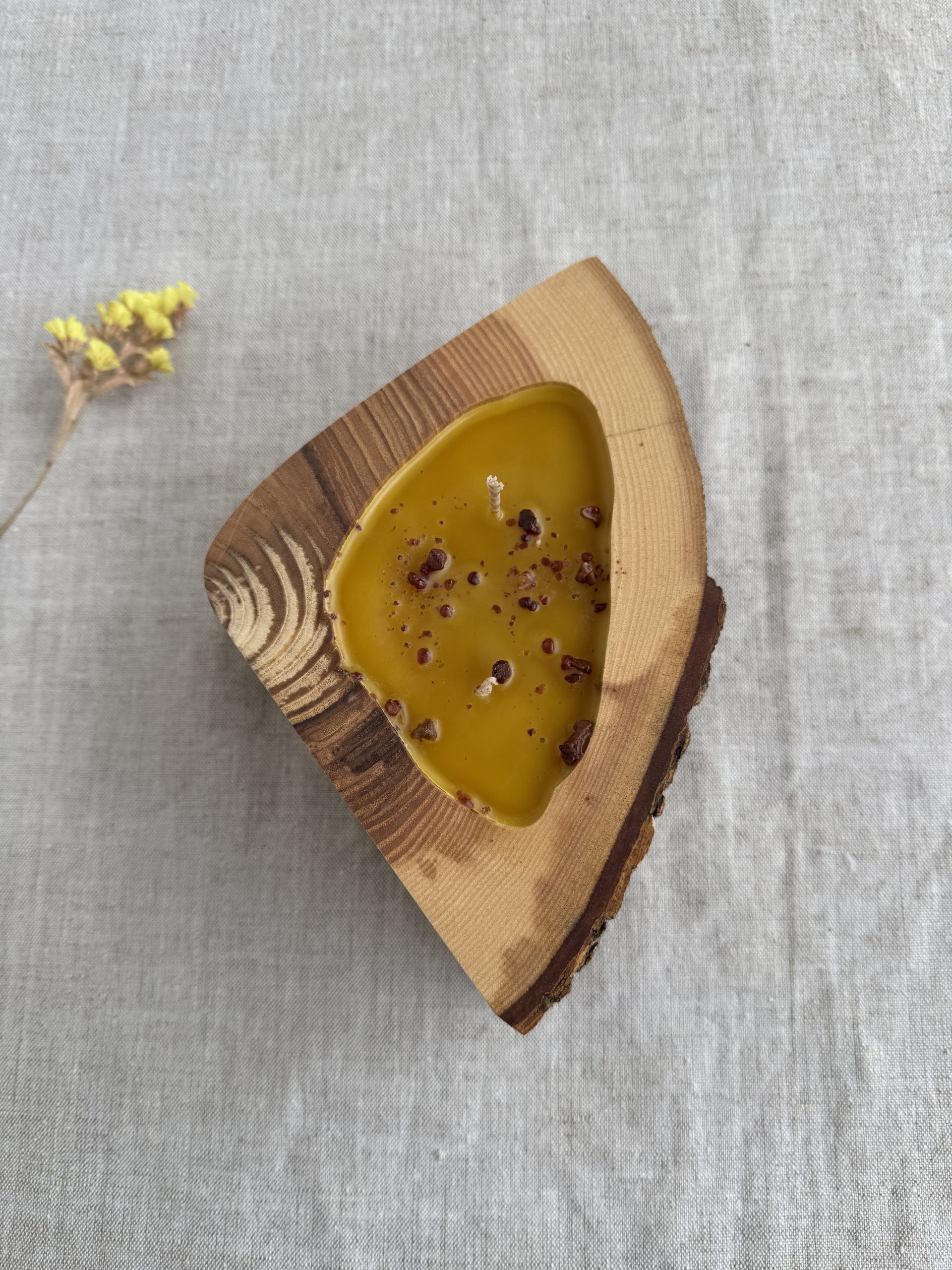 Handmade natural beeswax candle in rustic ash wood vessel with bark texture