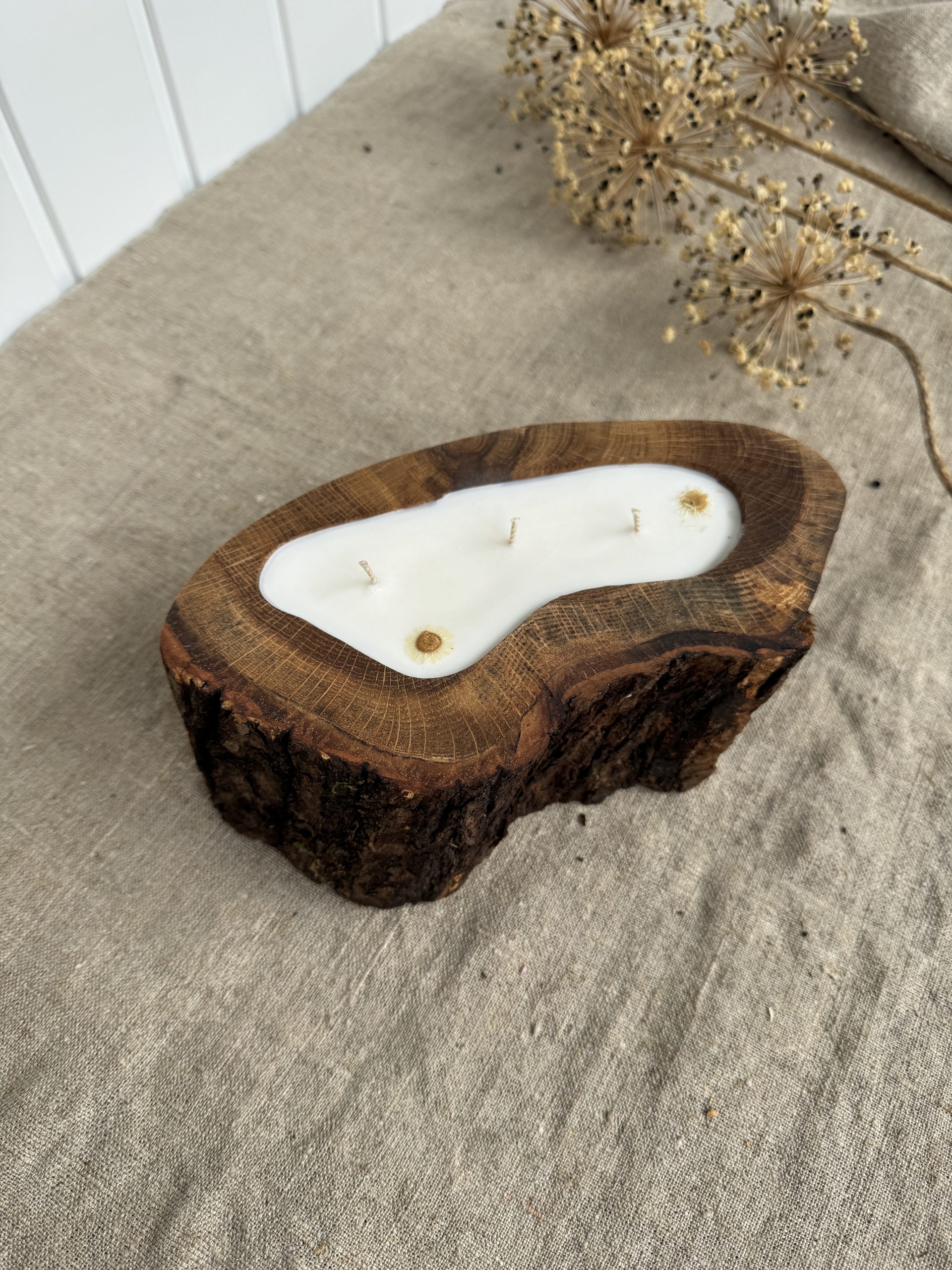 Handmade oak wood soy candle with Magnolia fragrance, natural bark edge and three cotton wicks