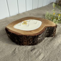 Large handmade birch wood soy candle with Melon fragrance, four cotton wicks and natural bark edge