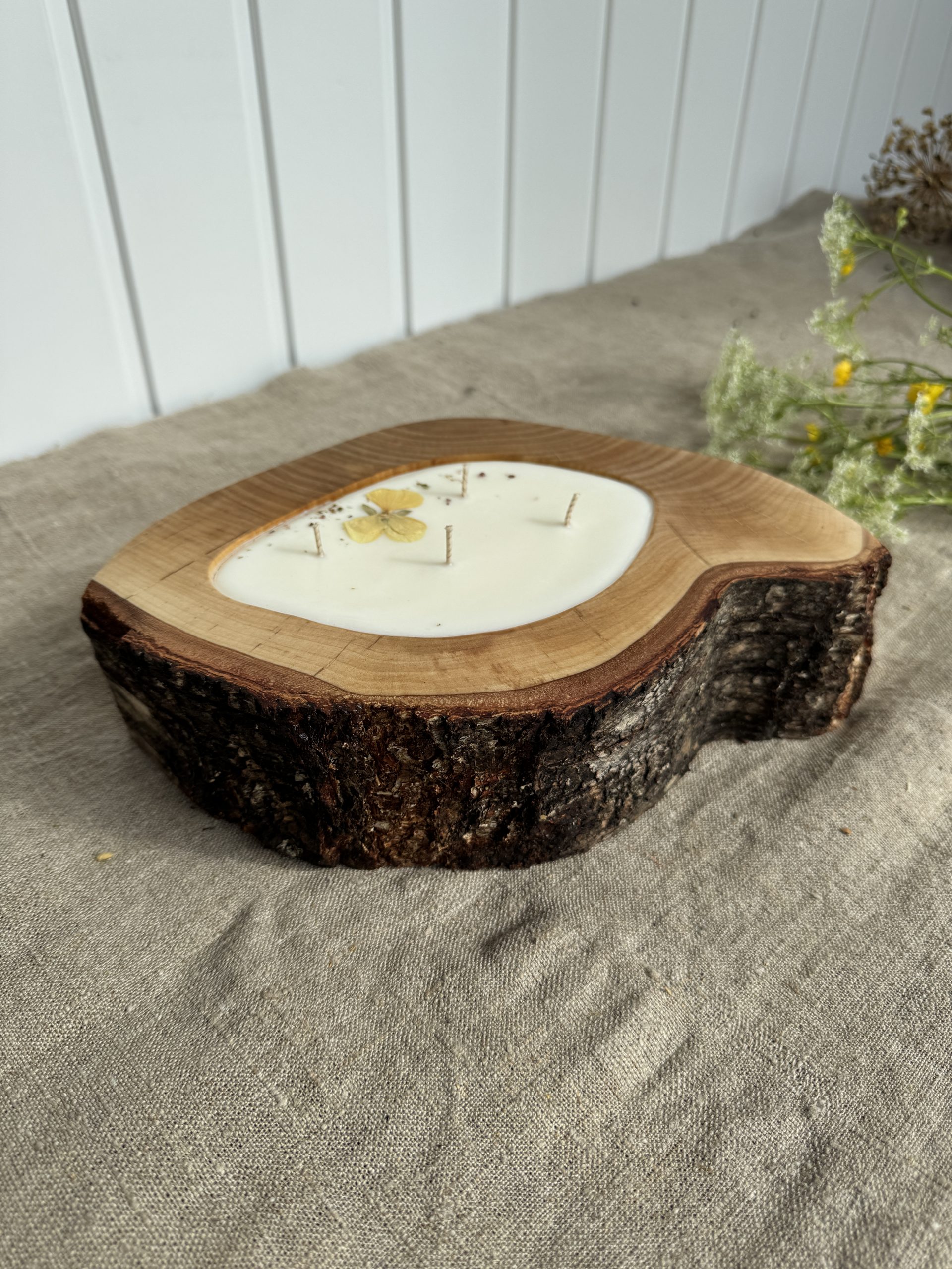 Large handmade birch wood soy candle with Melon fragrance, four cotton wicks and natural bark edge